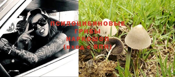 не бодяженный Бородино