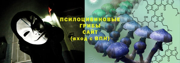 трава Верея