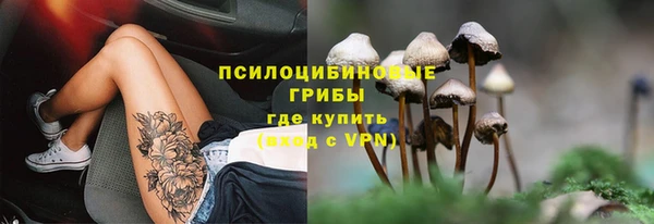 МДПВ Верхний Тагил