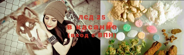 трава Верея