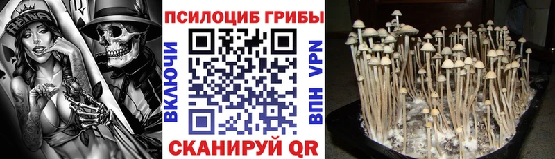 blacksprut ссылки  Весьегонск  Галлюциногенные грибы прущие грибы 